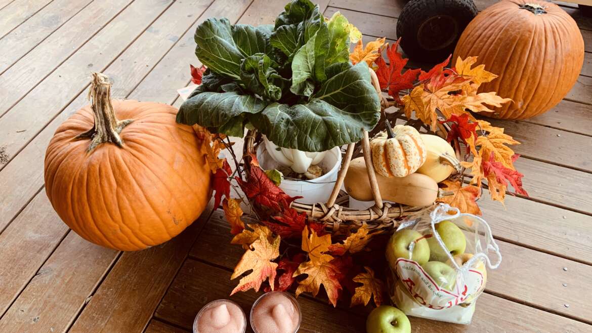 November: What’s happening on the farm