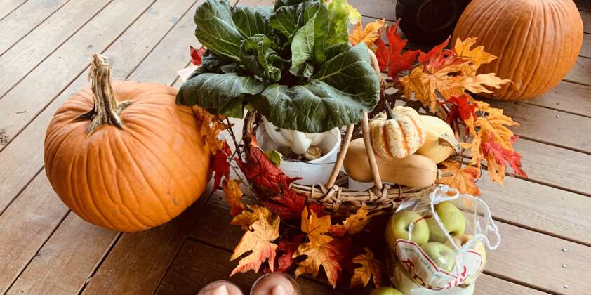 November: What’s happening on the farm